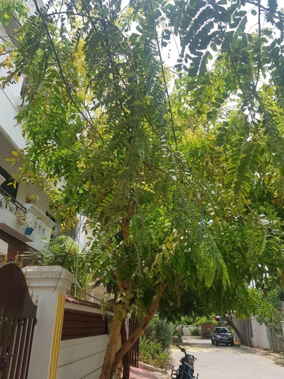 Royal Palace Guest House Chennai Dış mekan fotoğraf